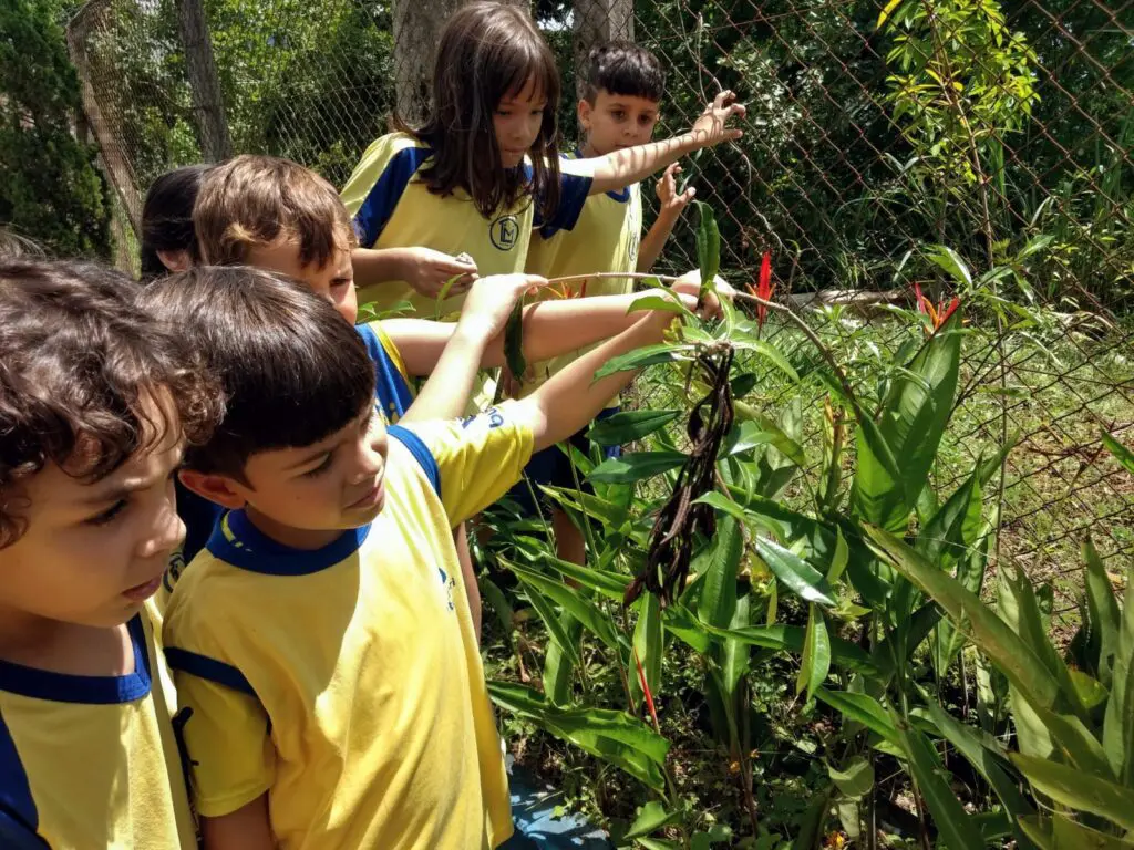 WhatsApp Image 2023-02-10 at 19.05.51 (1)