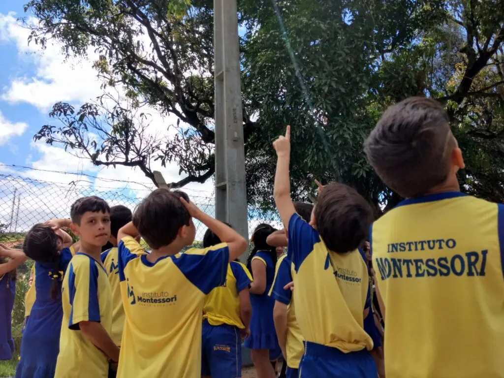 WhatsApp Image 2023-02-10 at 19.05.51 (2)