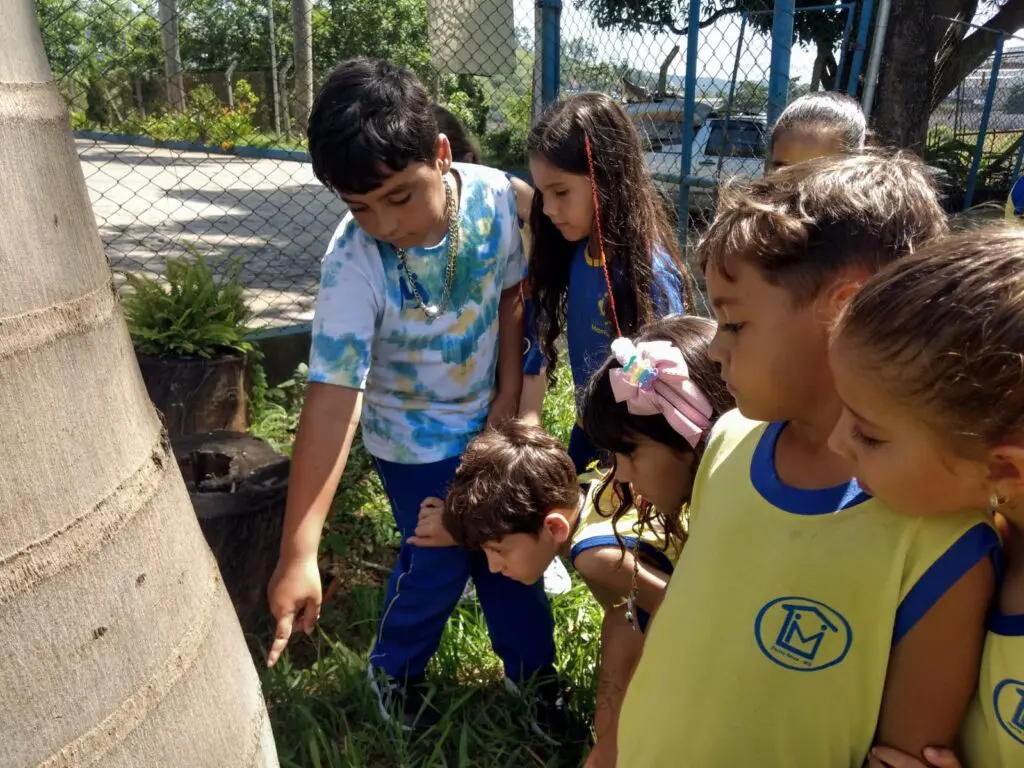 WhatsApp Image 2023-02-10 at 19.05.52 (2)