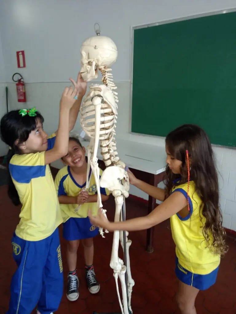 WhatsApp Image 2023-04-28 at 20.06.01 (1)