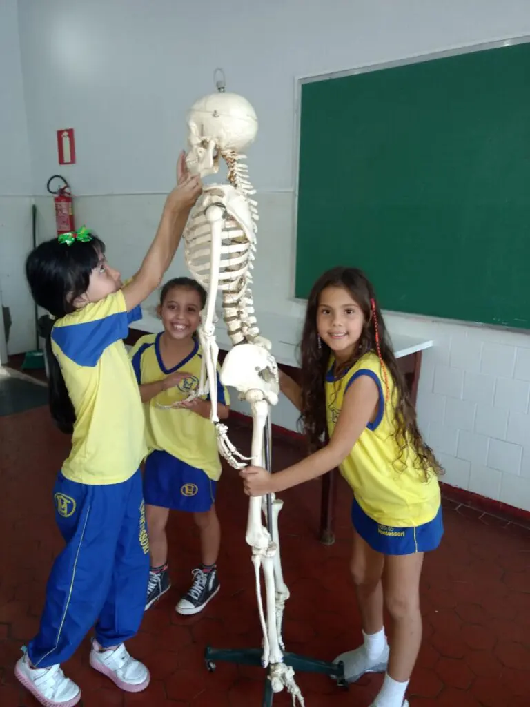 WhatsApp Image 2023-04-28 at 20.06.01