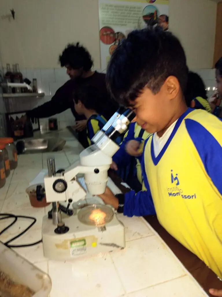 18d71c272effc0a2cc101d905436dba5