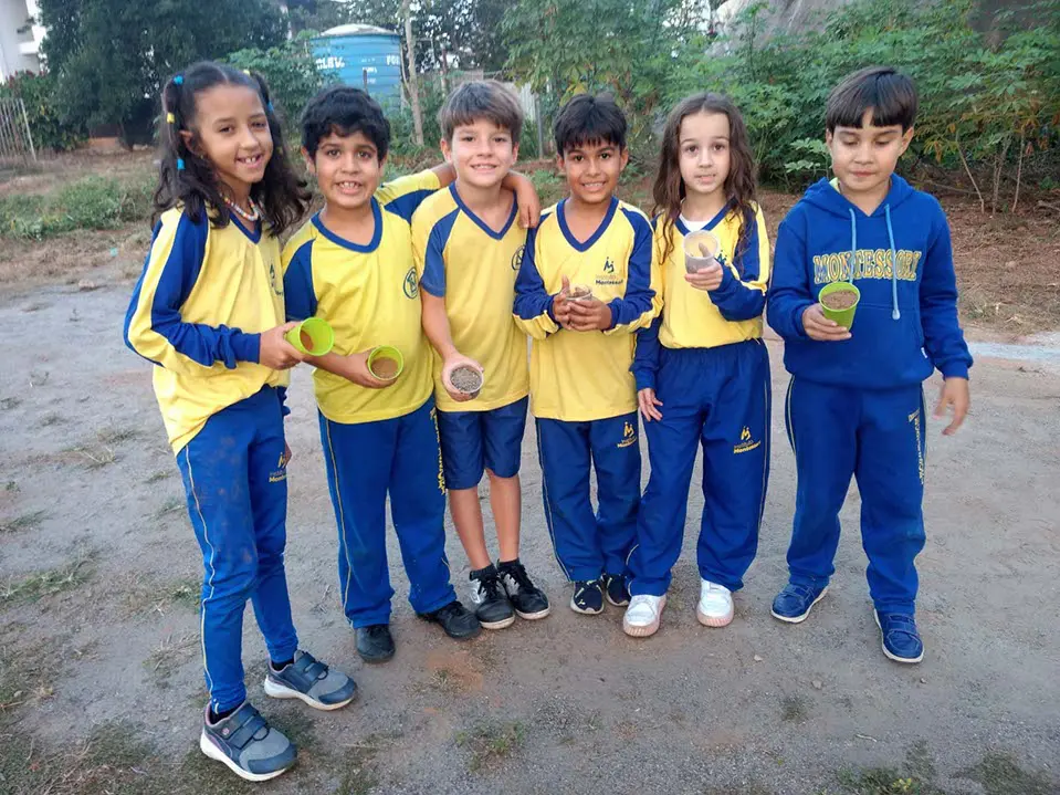 WhatsApp Image 2023-05-24 at 11.23.09