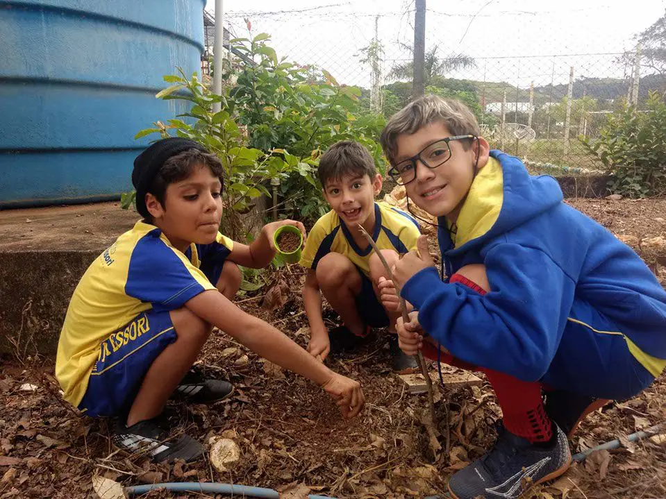 WhatsApp Image 2023-05-24 at 11.23.17