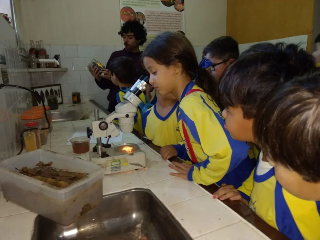 WhatsApp Image 2023-07-06 at 08.34.46