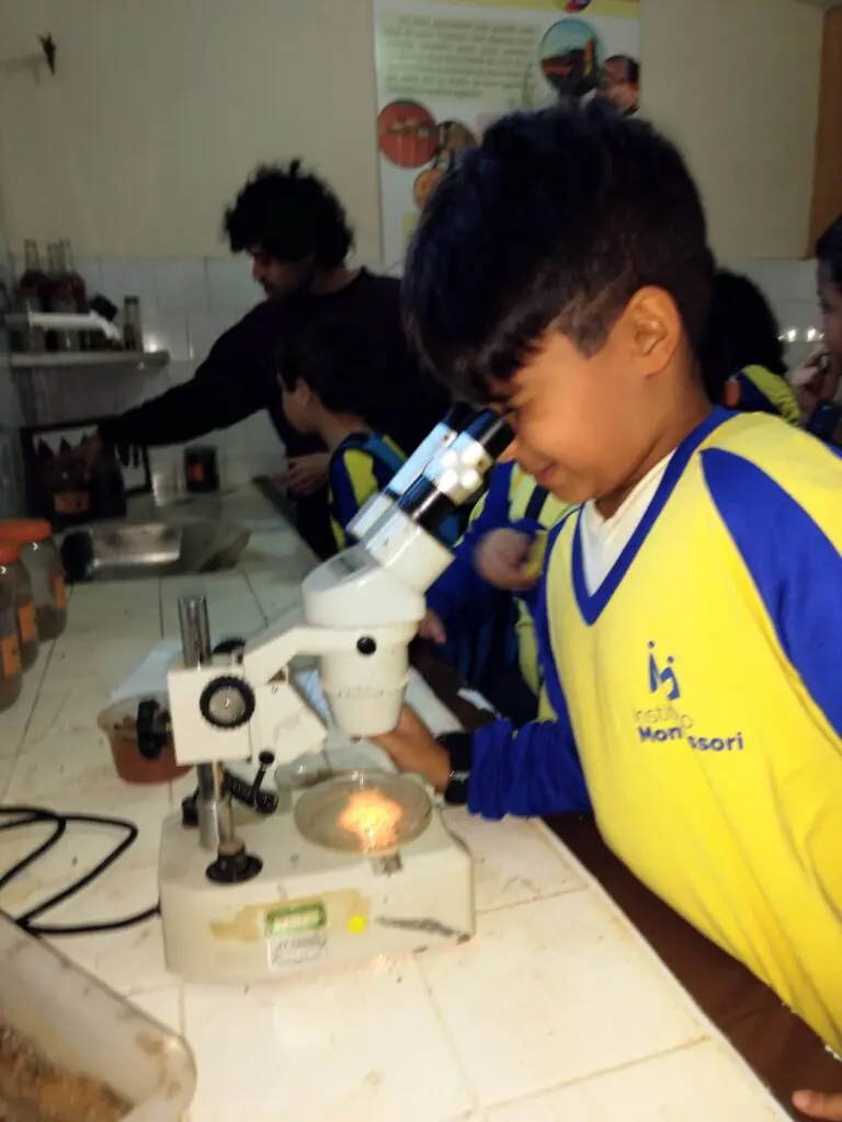 WhatsApp Image 2023-07-06 at 08.34.46 (4)