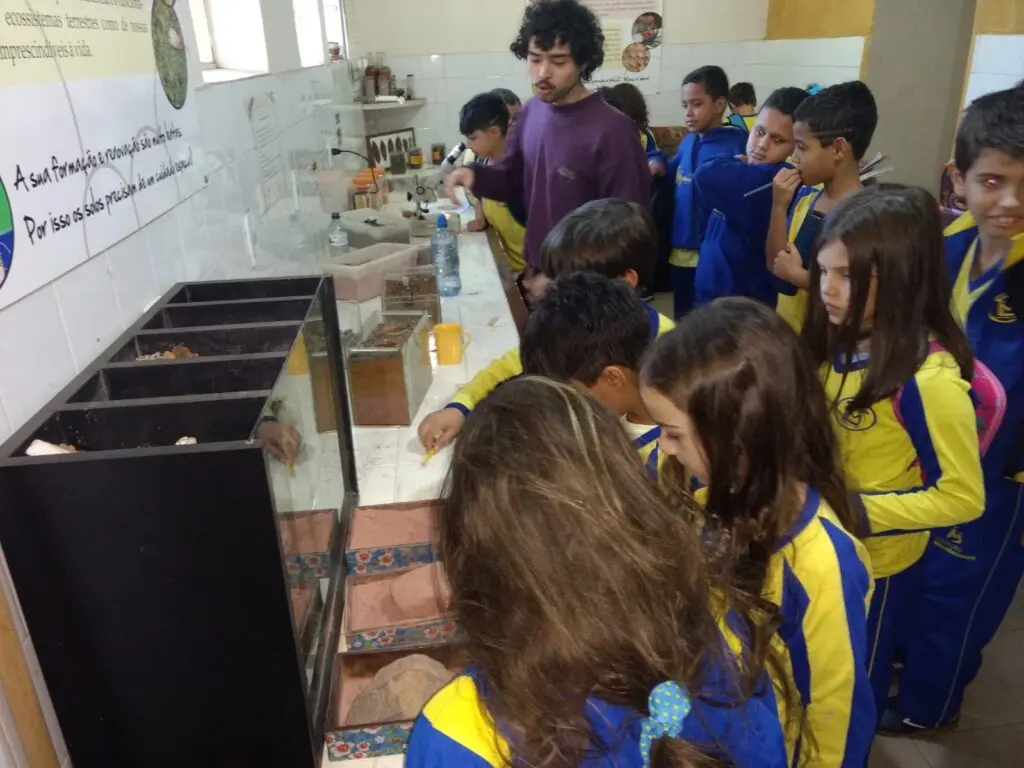 WhatsApp Image 2023-07-06 at 08.34.47