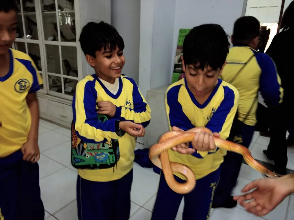 WhatsApp Image 2023-07-06 at 08.38.04 (1)