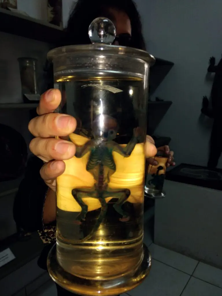 WhatsApp Image 2023-07-06 at 08.38.27