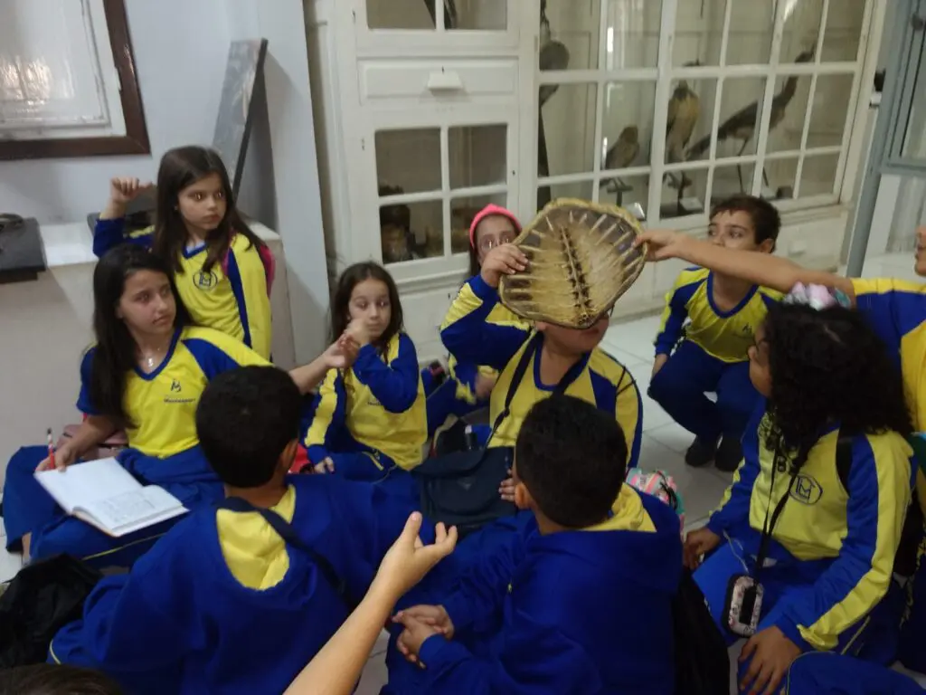 WhatsApp Image 2023-07-06 at 08.38.28 (1)