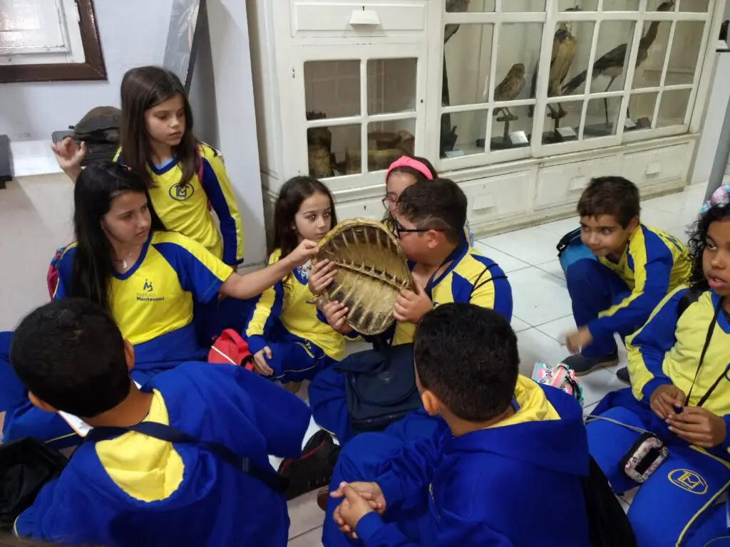 WhatsApp Image 2023-07-06 at 08.38.28