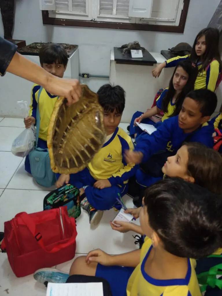 WhatsApp Image 2023-07-06 at 08.38.28 (2)