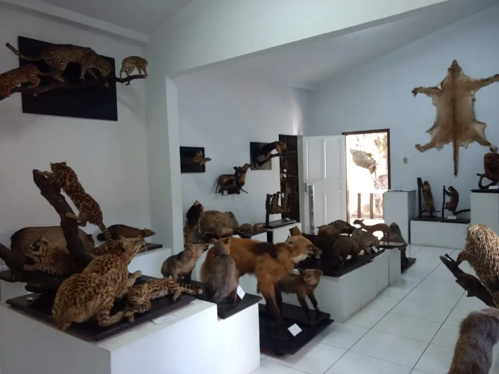 WhatsApp Image 2023-07-06 at 08.38.31