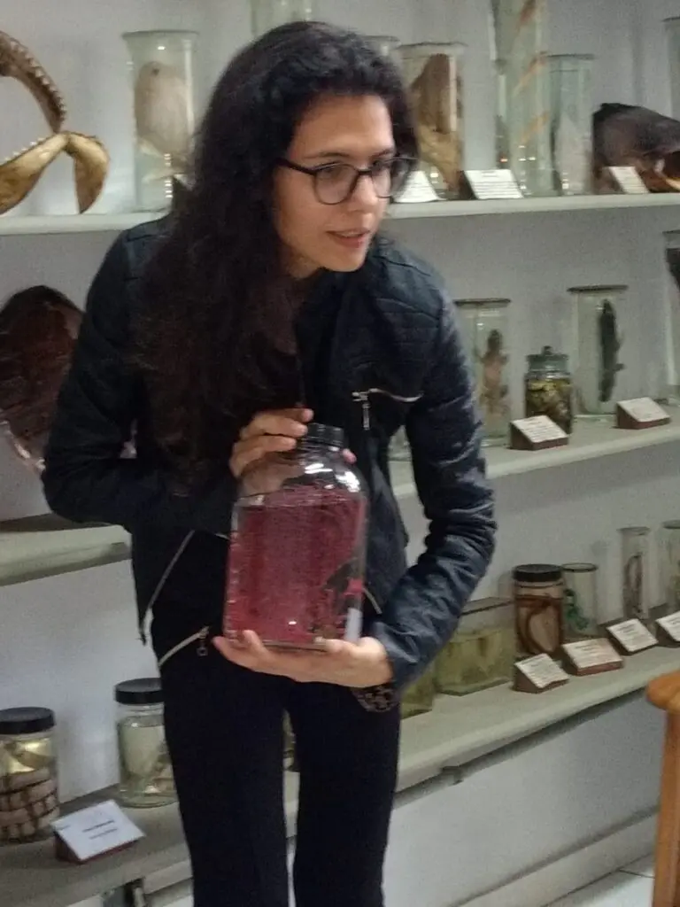 WhatsApp Image 2023-07-06 at 08.38.33