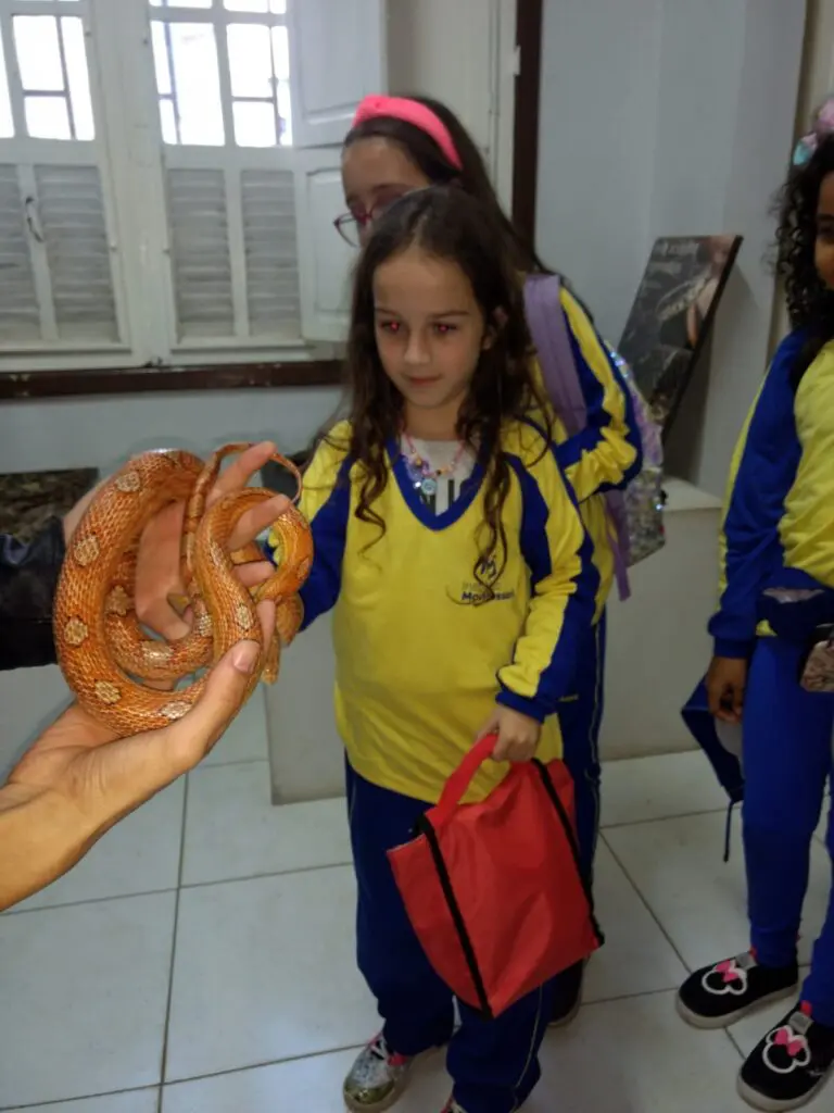 WhatsApp Image 2023-07-06 at 08.39.01