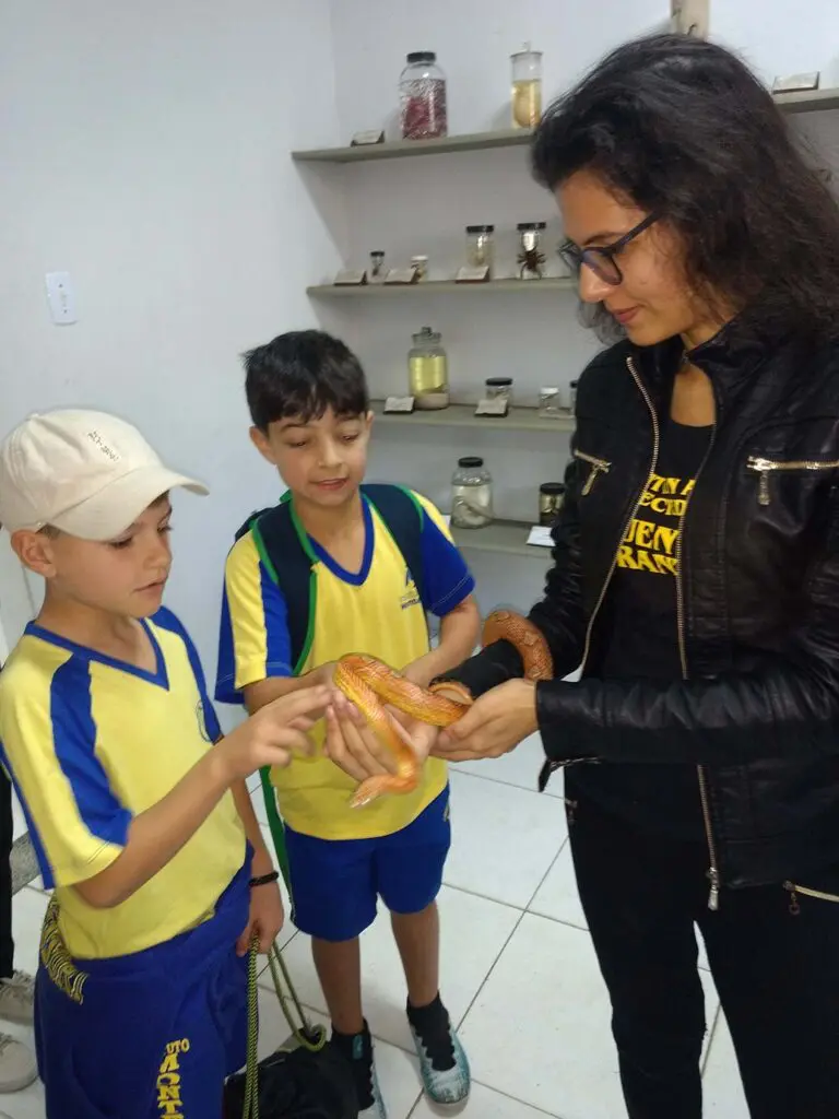 a3d5c65168c13fad1f42e6a3a22995e4