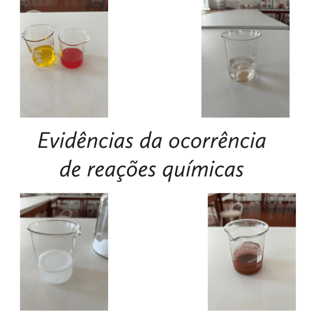 8BF7D584-5E6F-4360-ADC6-407B25435517