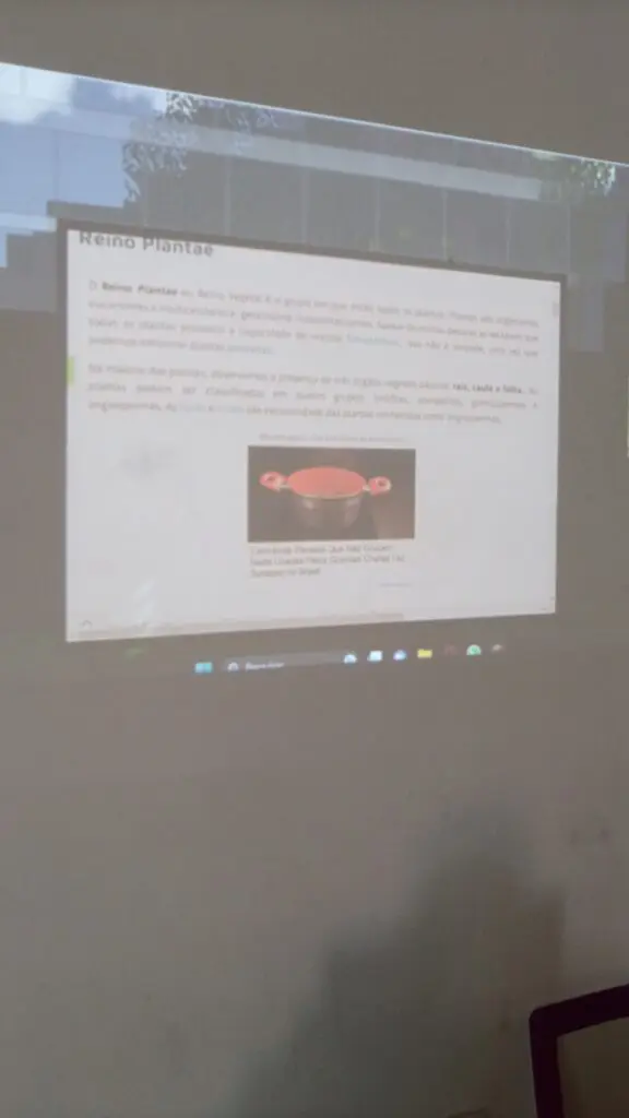 IMG_20230804_113929_356