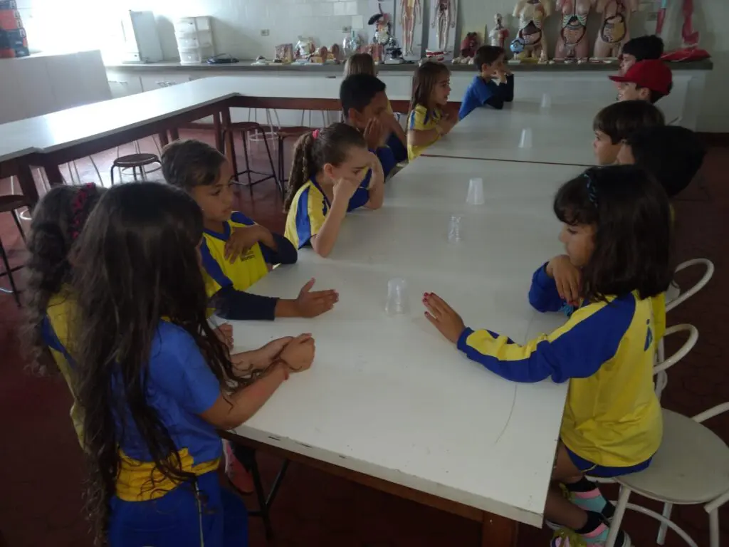 WhatsApp Image 2023-08-02 at 17.13.55