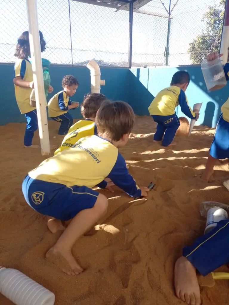 WhatsApp Image 2023-08-08 at 10.06.06