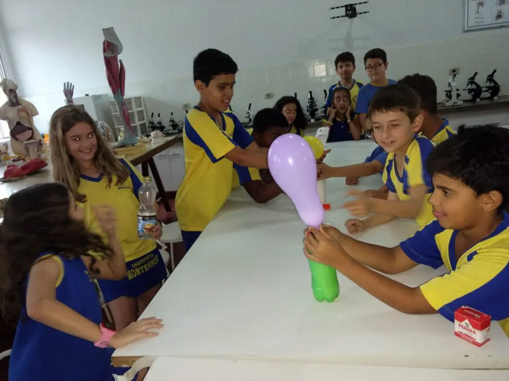 WhatsApp Image 2023-09-01 at 09.34.08