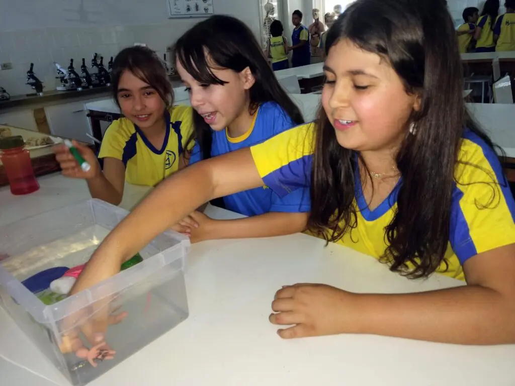 WhatsApp Image 2023-09-11 at 19.41.41