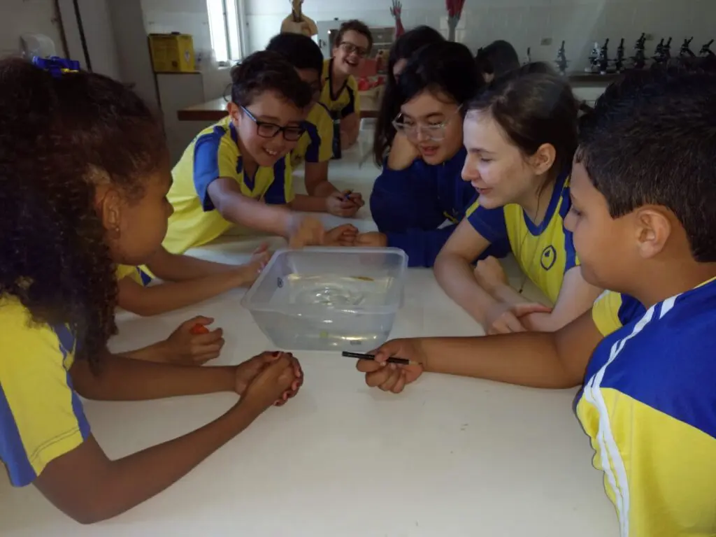 WhatsApp Image 2023-09-11 at 19.41.47 (1)