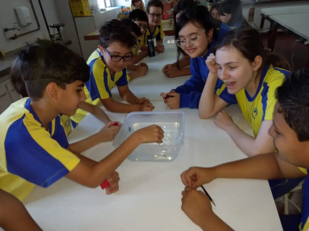 WhatsApp Image 2023-09-11 at 19.41.51 (2)