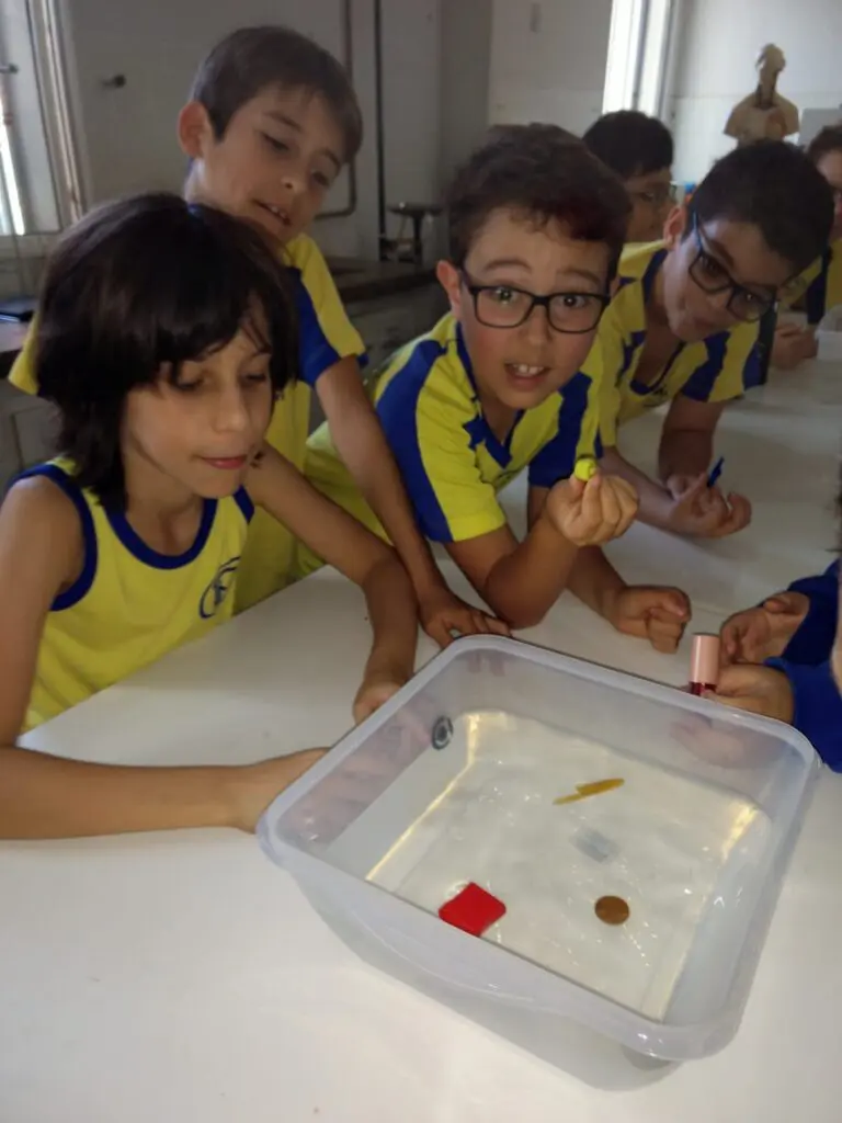 WhatsApp Image 2023-09-11 at 19.41.51