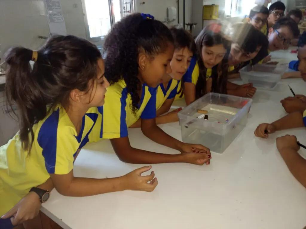 WhatsApp Image 2023-09-11 at 19.41.54 (1)