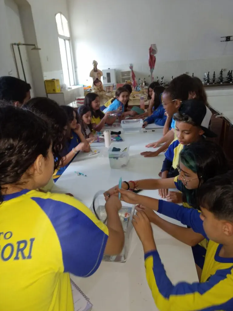 WhatsApp Image 2023-09-11 at 19.42.03 (1)