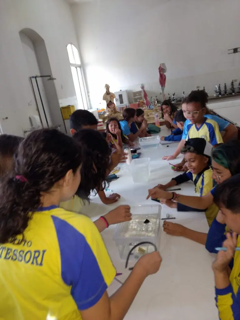 WhatsApp Image 2023-09-11 at 19.42.06 (2)