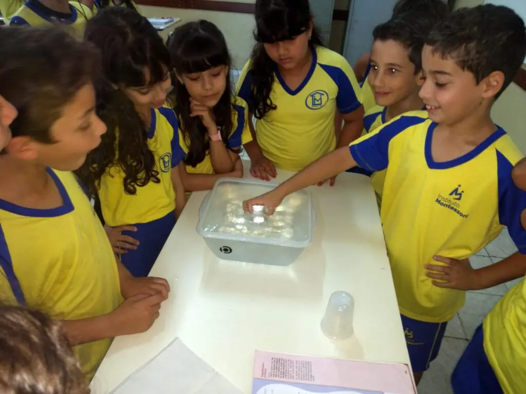 WhatsApp Image 2023-09-13 at 18.09.03 (3)