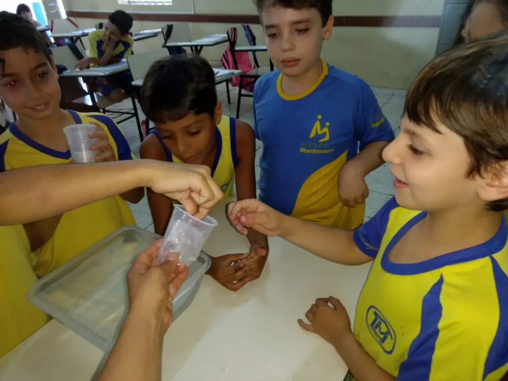 WhatsApp Image 2023-09-13 at 18.09.04