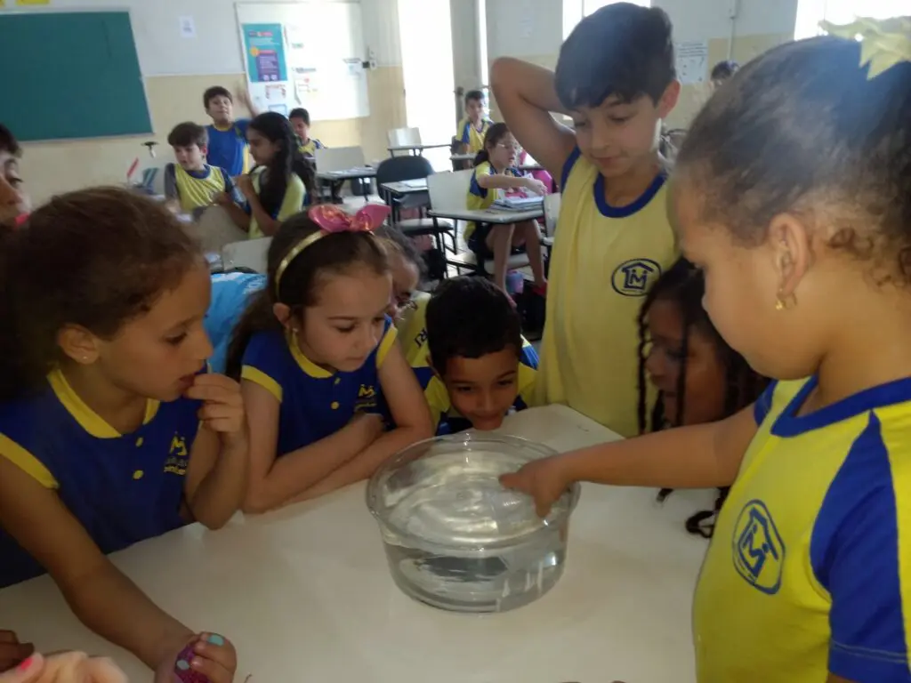 WhatsApp Image 2023-09-15 at 19.22.02 (2)