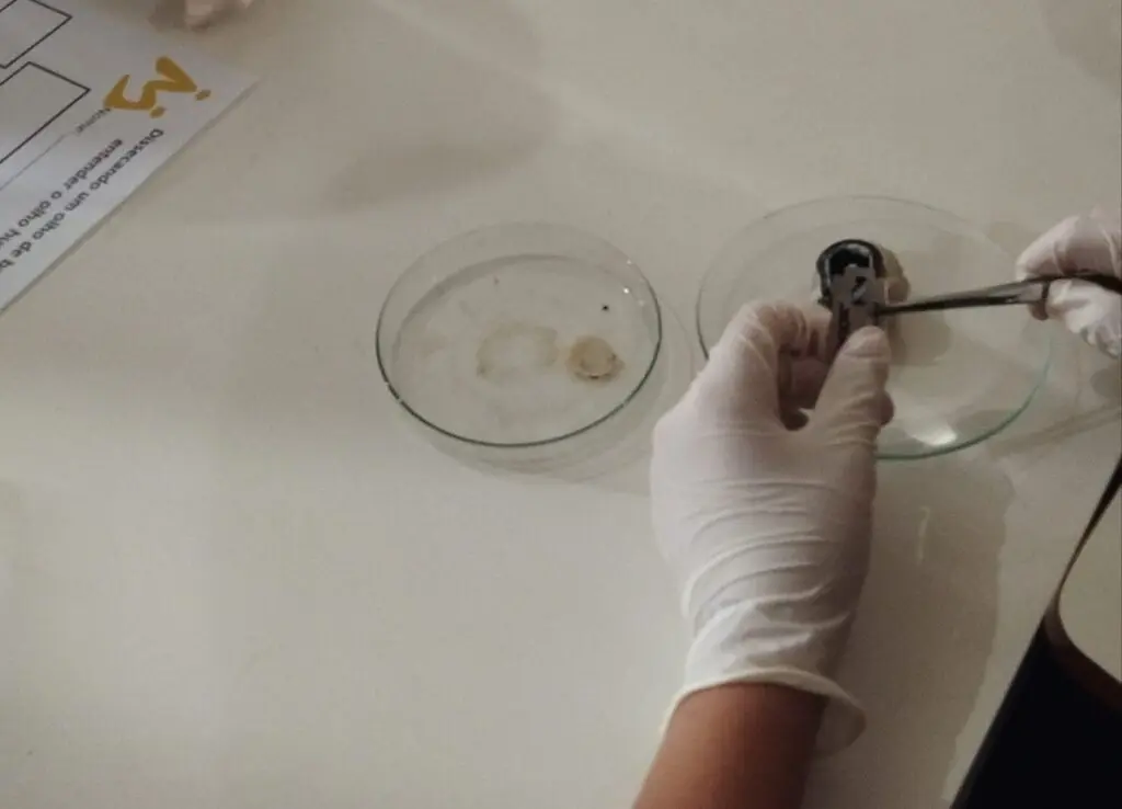 WhatsApp Image 2023-10-20 at 12.00.15