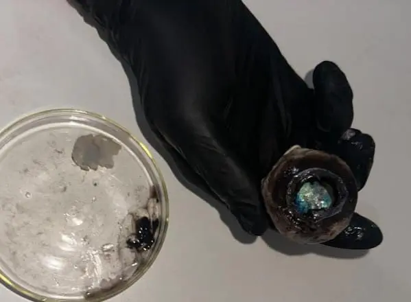 WhatsApp Image 2023-10-20 at 12.00.16