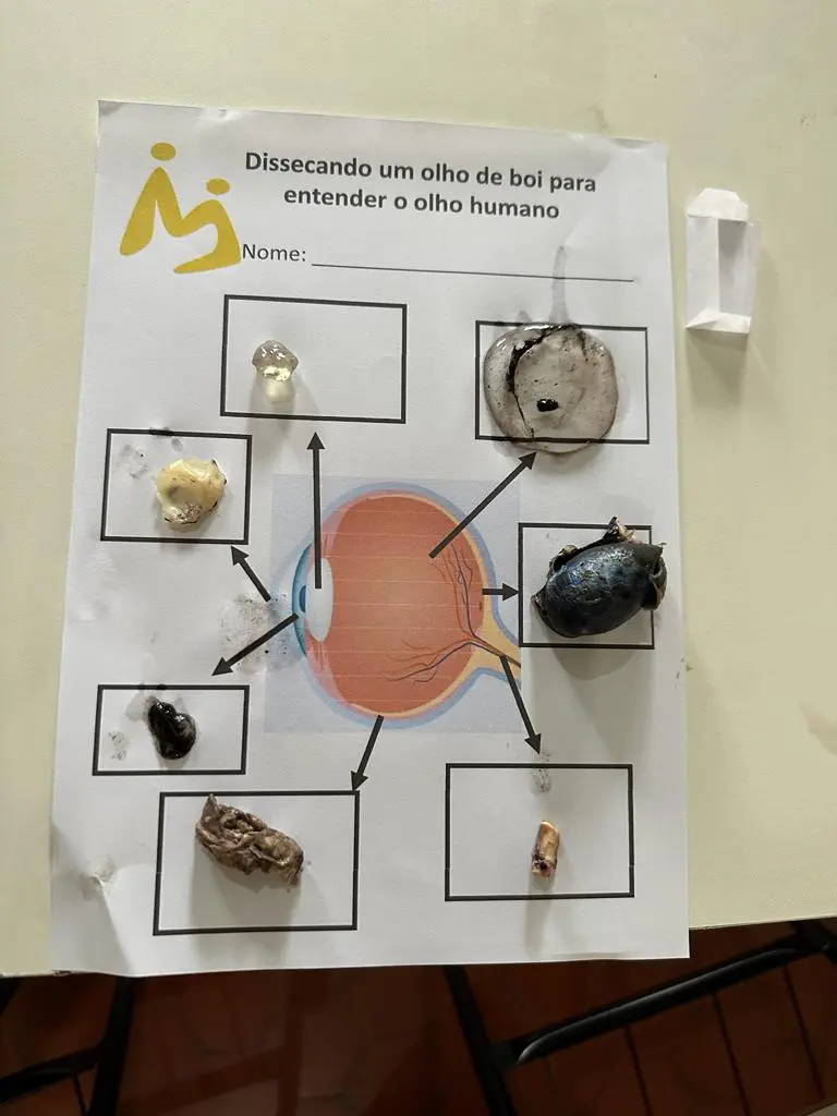 WhatsApp Image 2023-10-20 at 12.00.17 (1)