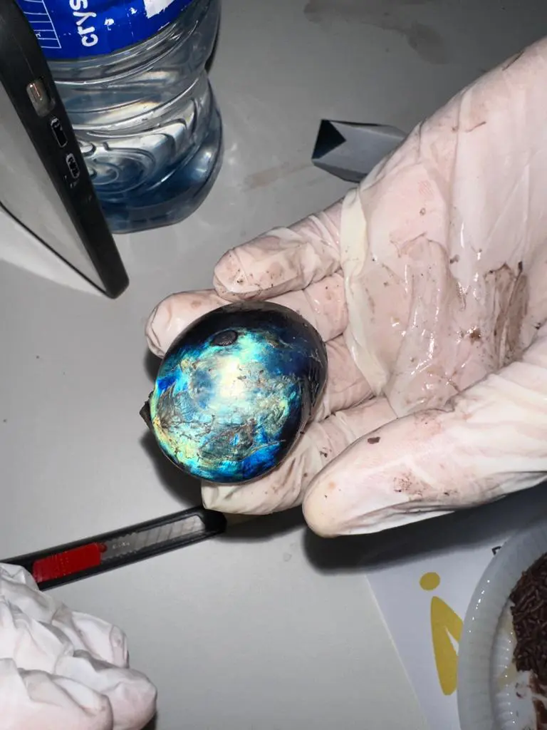 WhatsApp Image 2023-10-20 at 12.00.17 (2)