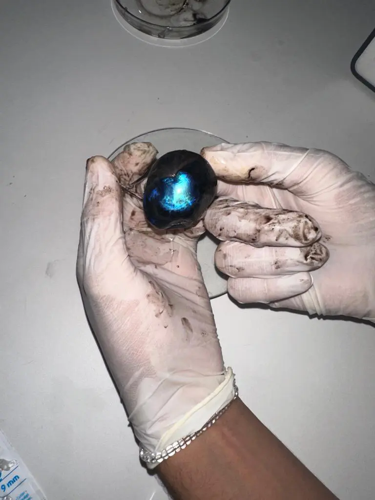 WhatsApp Image 2023-10-20 at 12.00.18