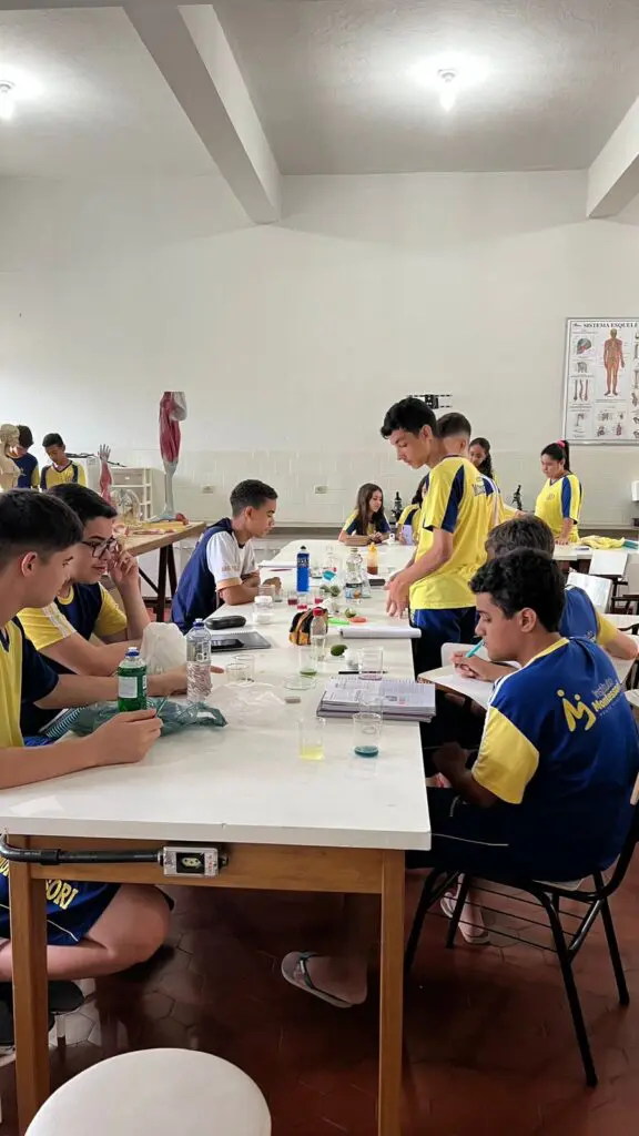 WhatsApp Image 2023-11-07 at 15.28.49