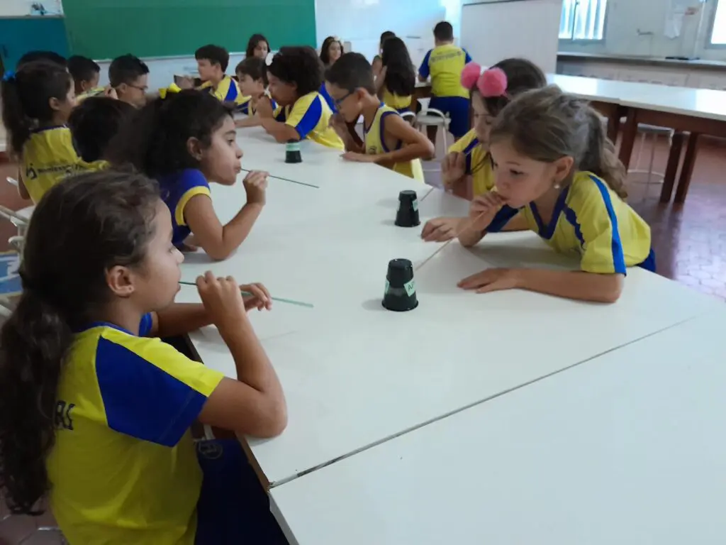 WhatsApp Image 2024-02-03 at 10.49.15 (1)