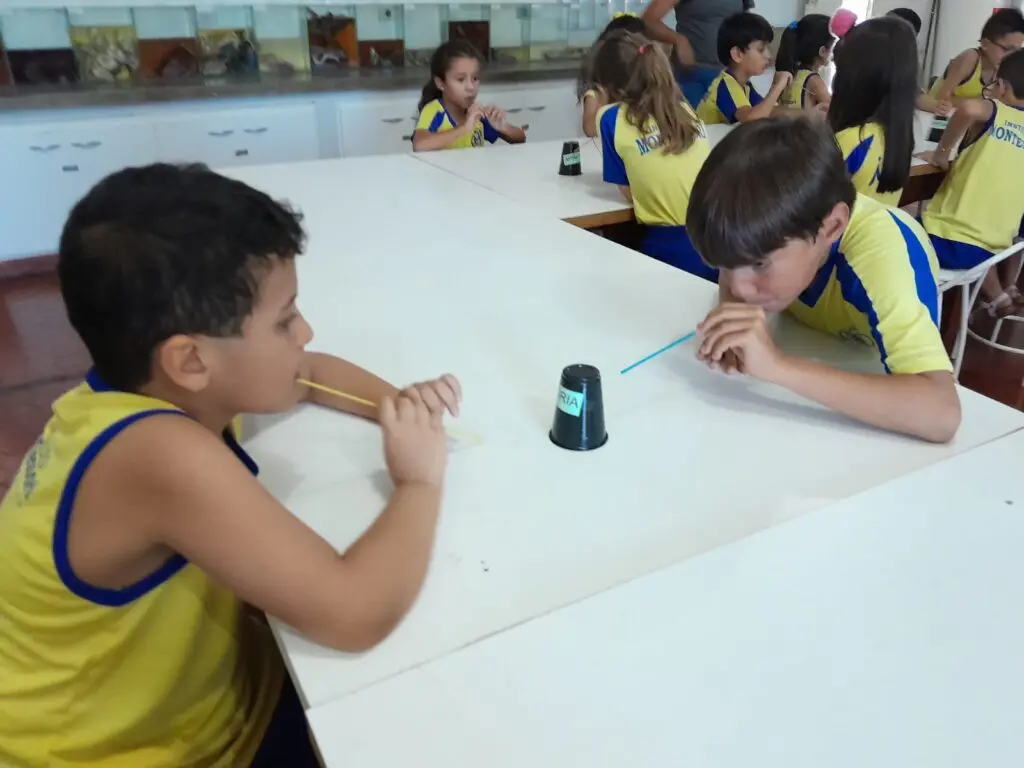 WhatsApp Image 2024-02-03 at 10.49.16