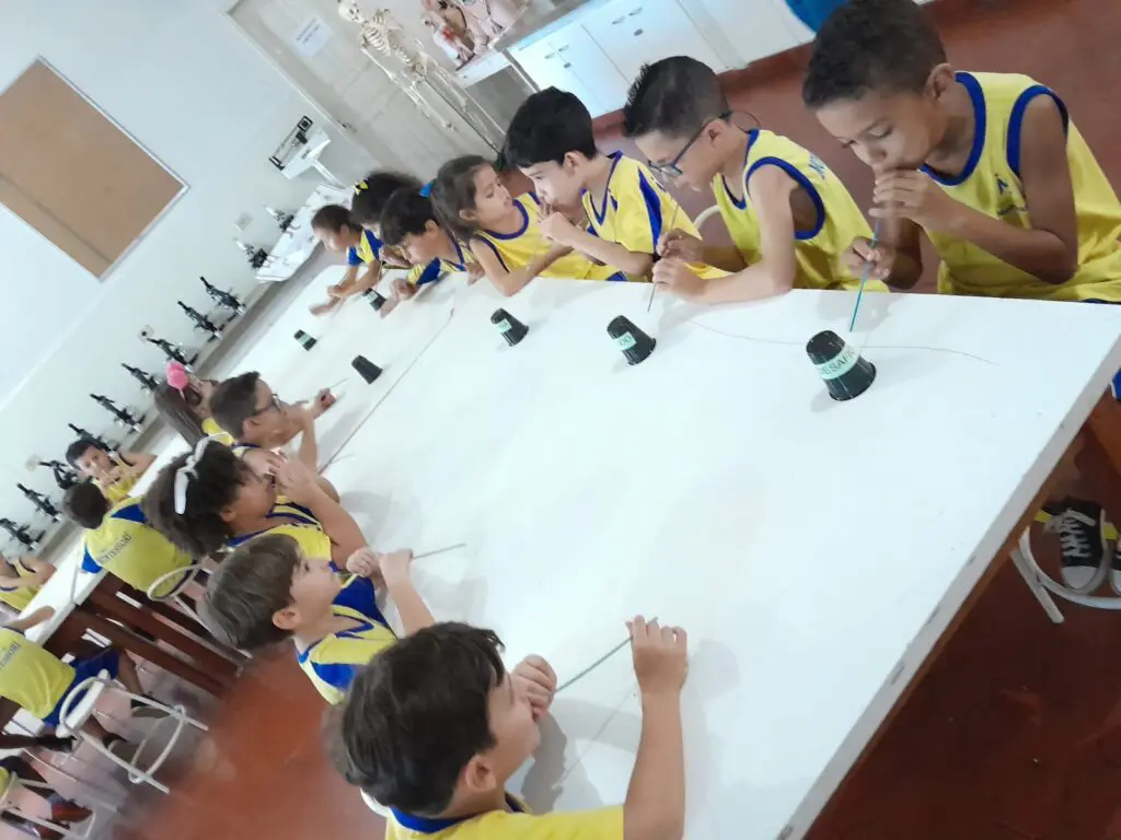 WhatsApp Image 2024-02-03 at 10.49.17