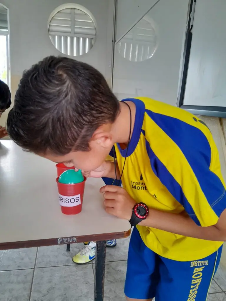 WhatsApp Image 2024-02-03 at 11.21.39 (1)