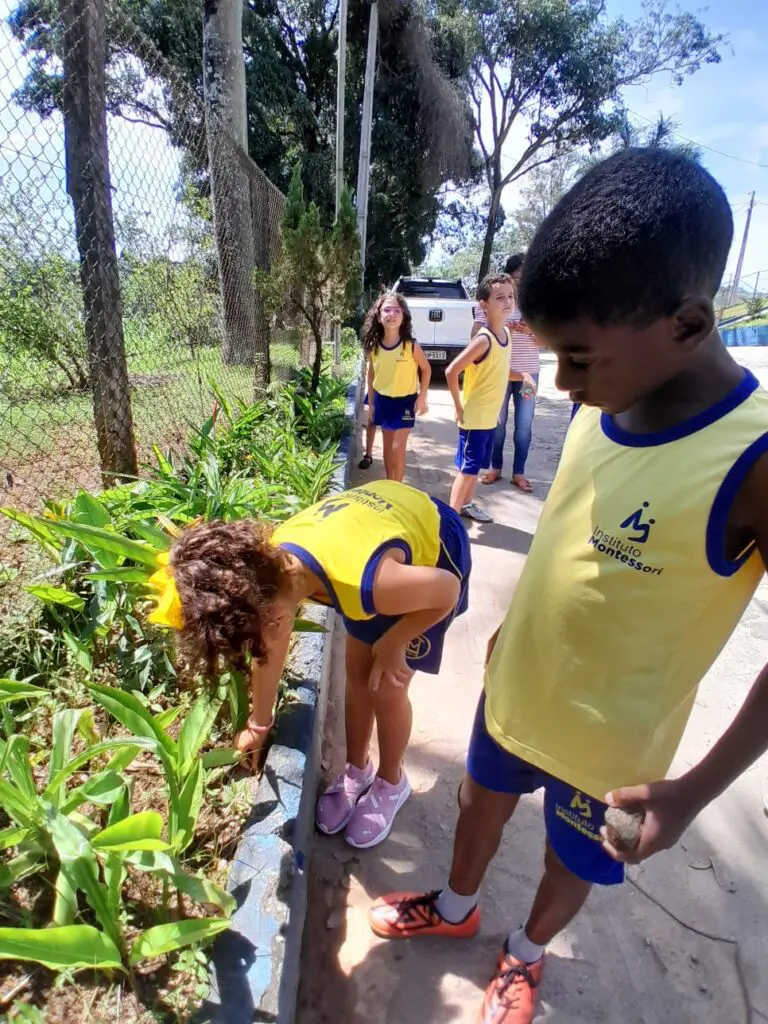 WhatsApp Image 2024-03-01 at 18.32.15 (1)