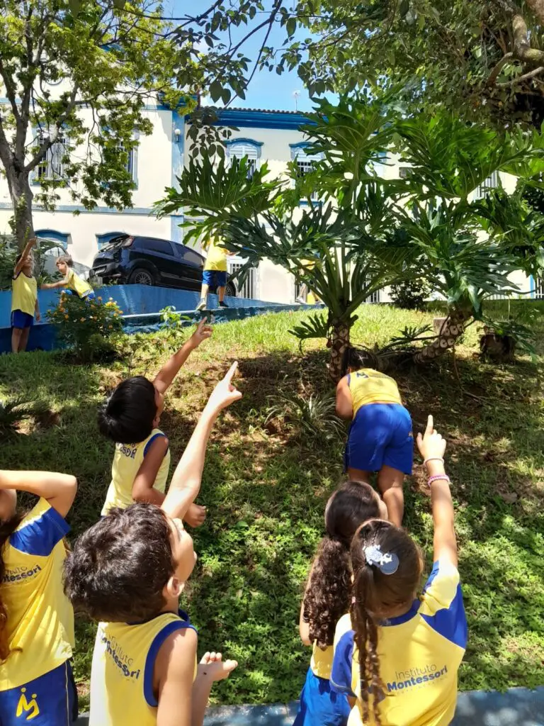 WhatsApp Image 2024-03-01 at 18.32.23