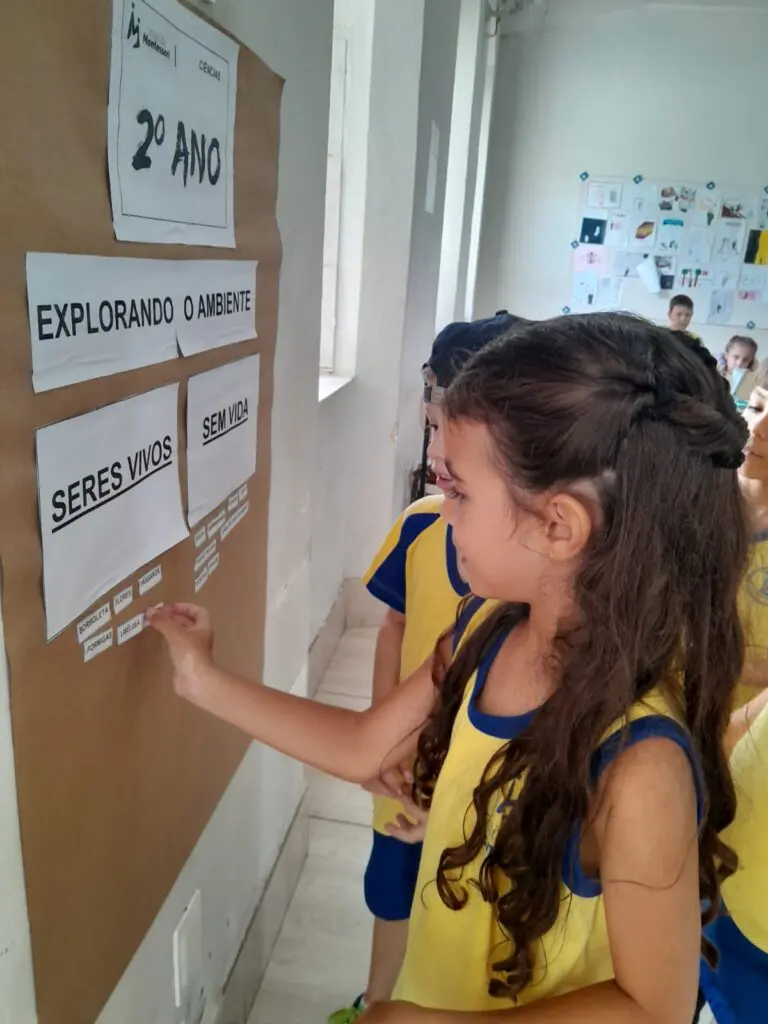 WhatsApp Image 2024-03-04 at 18.52.09 (1)