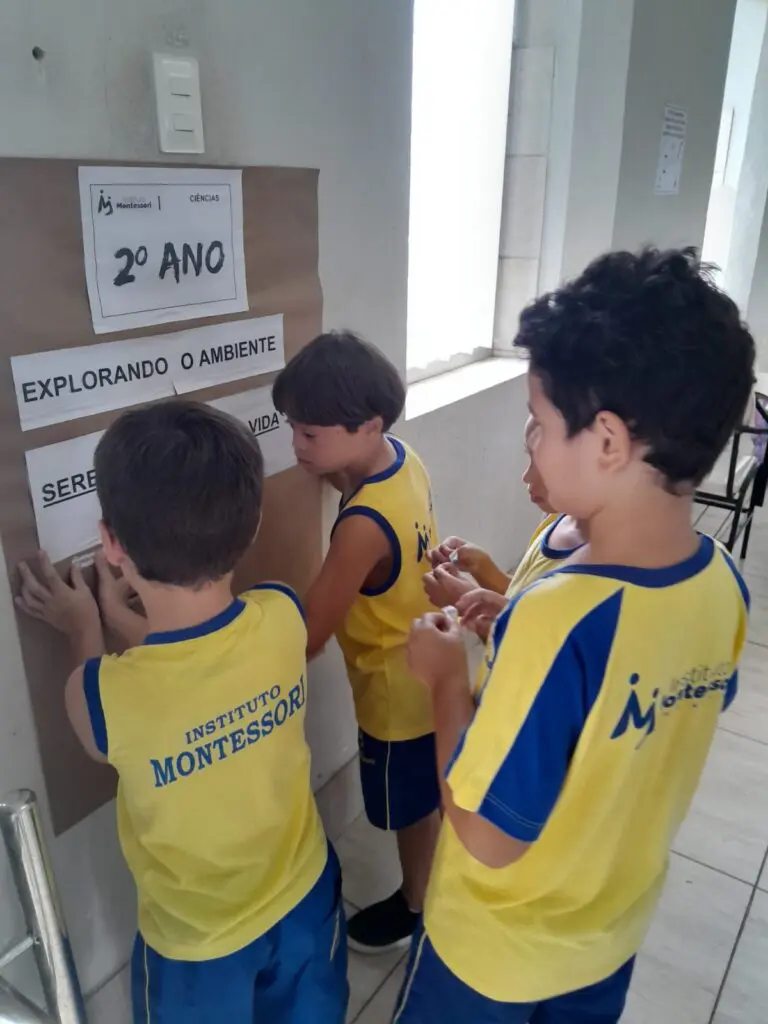 WhatsApp Image 2024-03-04 at 18.52.24 (3)