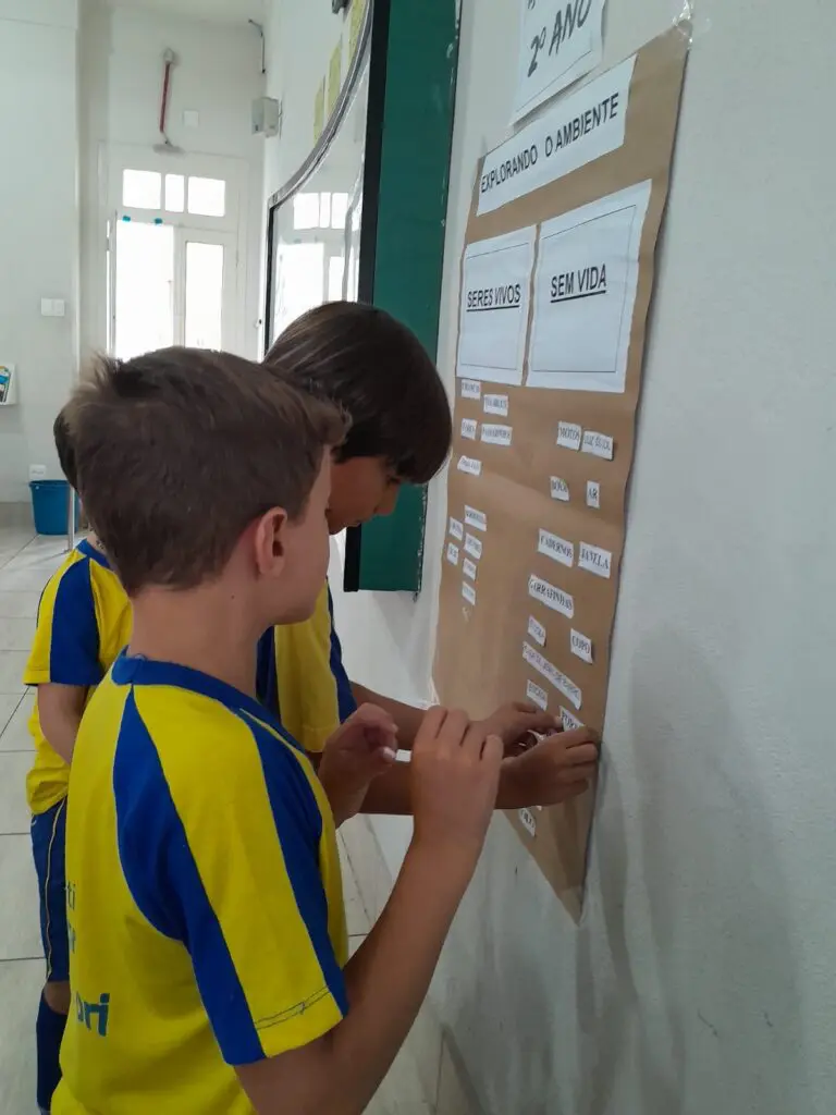 WhatsApp Image 2024-03-08 at 11.33.33